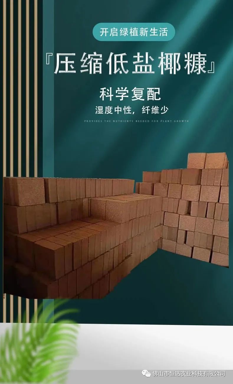 低盐压缩大椰砖