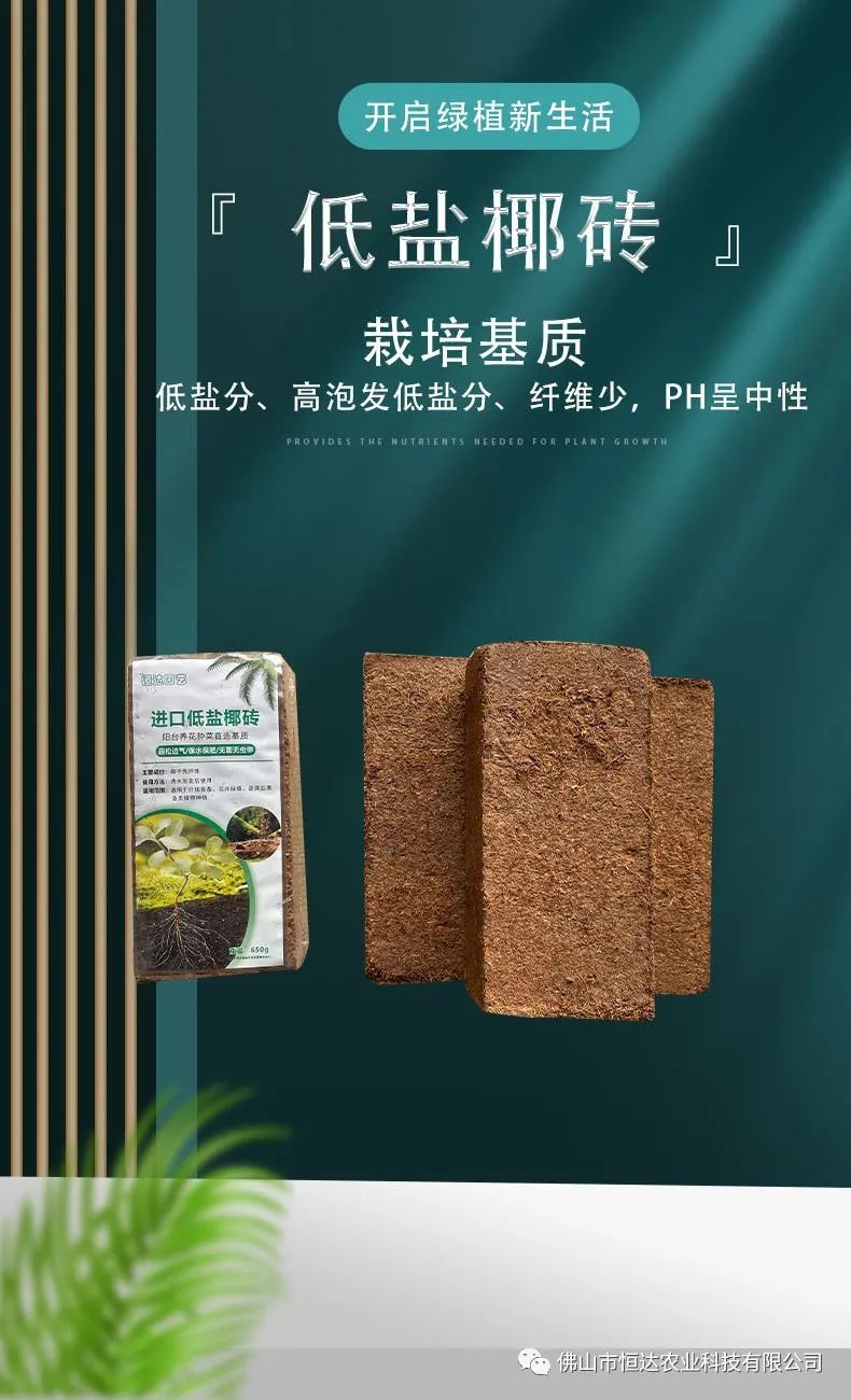 进口压缩小椰砖