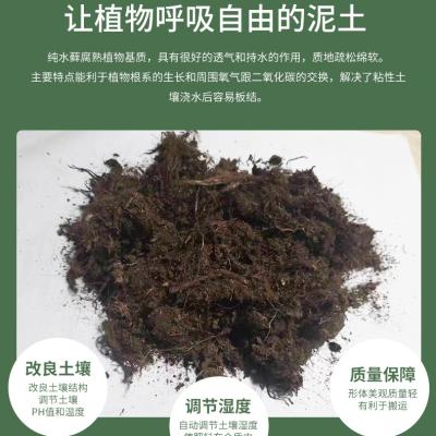 O1cn01tpgkmc2n6d0ovcdkf 2212544599913 0 Cib