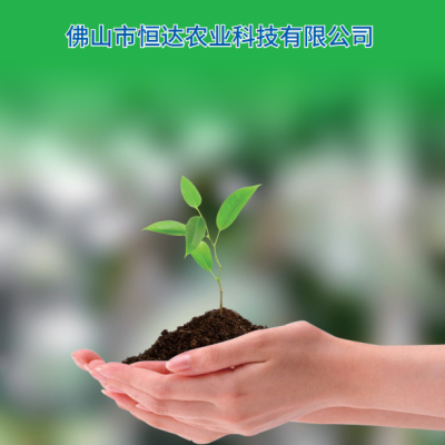 Wei Xin Tu Pian 20231107141941